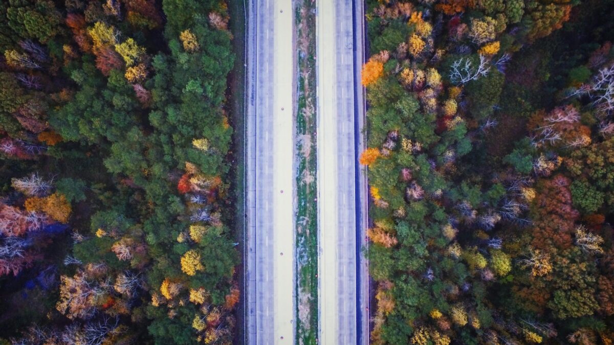 Speeding Up Data Processing with Parallelism in Rust