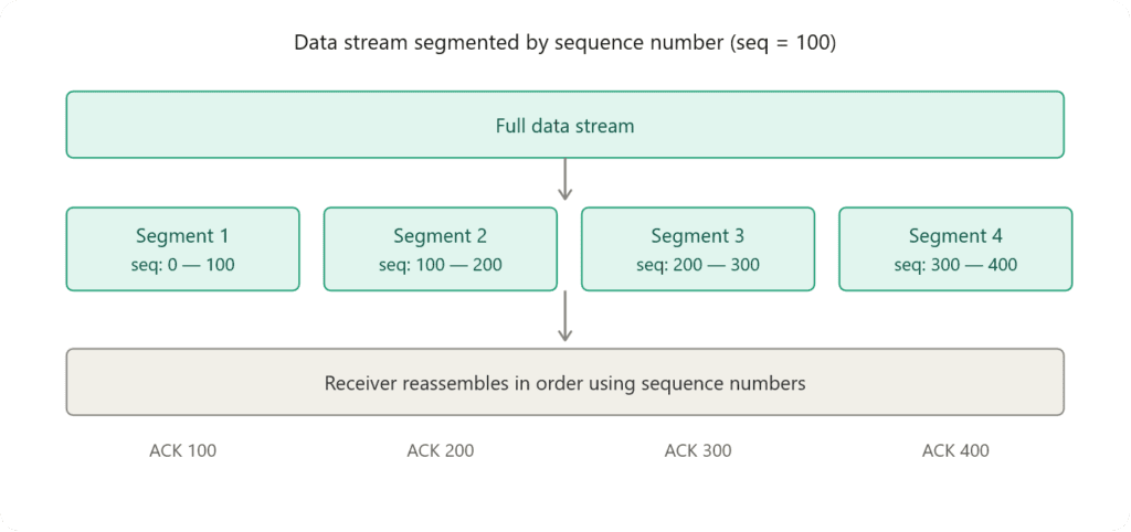 TCP Segmentation and Sequence Numbers