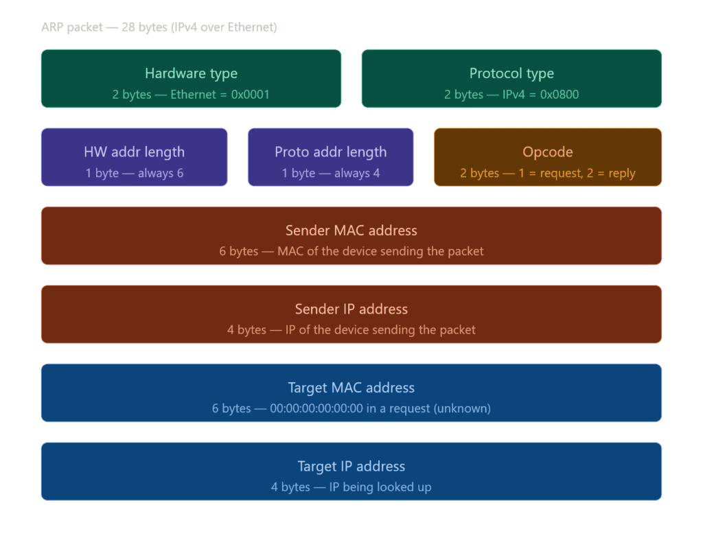 ARP Packet