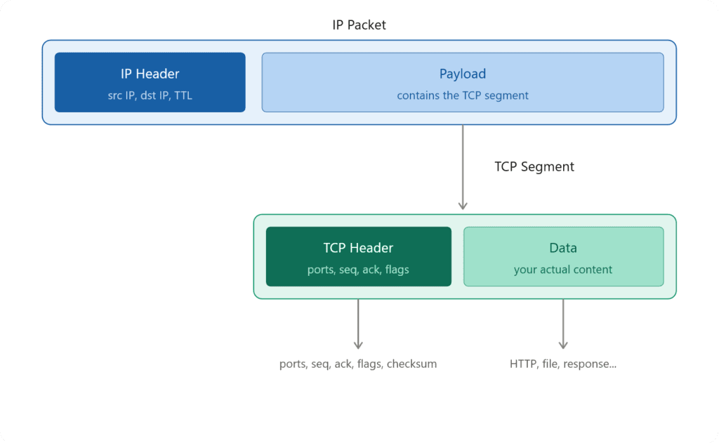 IP Packet Structure