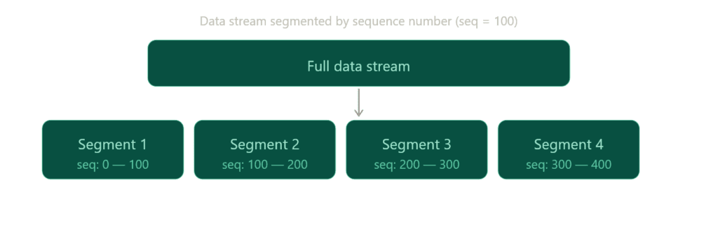 Segmentation Diagram